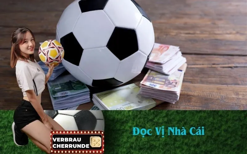 Đọc Vị Nhà Cái