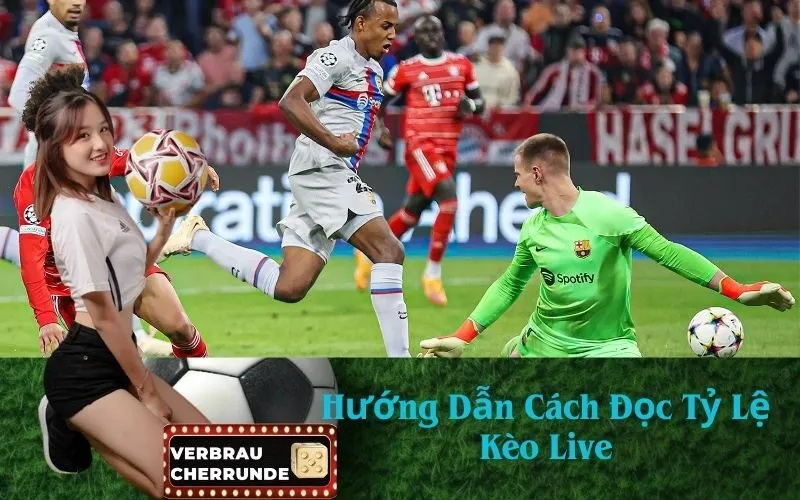 Hướng Dẫn Cách Đọc Tỷ Lệ Kèo Live