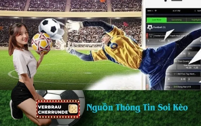 Nguồn Thông Tin Soi Kèo