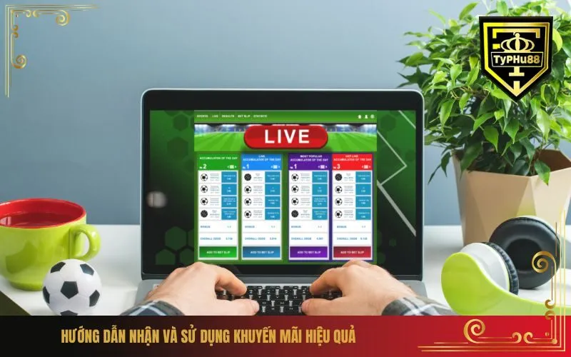 Hướng dẫn nhận và sử dụng khuyến mãi hiệu quả