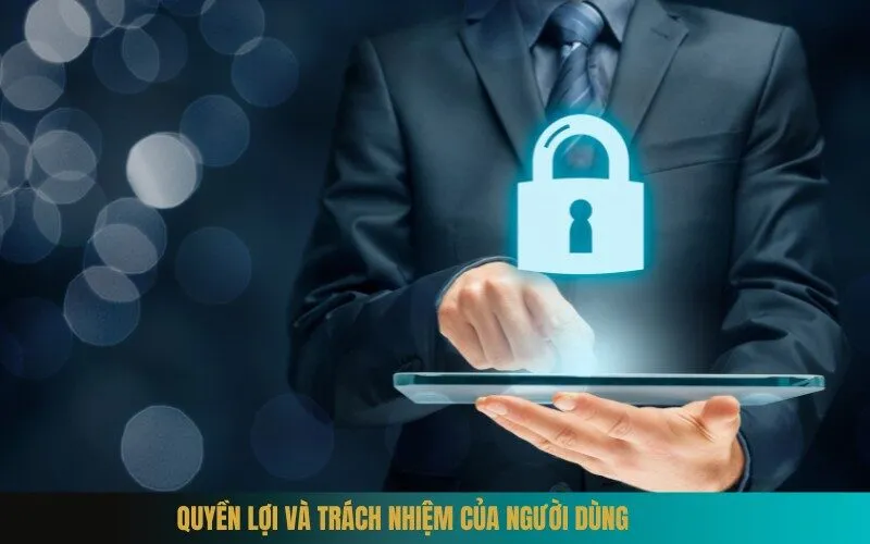 Quyền Lợi và Trách Nhiệm của Người Dùng